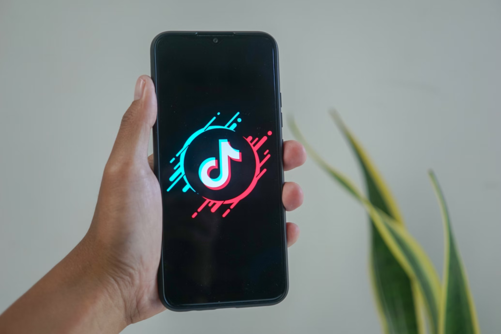 TikTok登録できない原因の特定